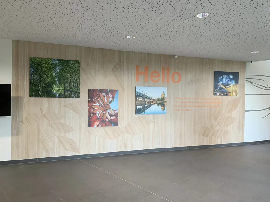 Hall d'accueil : décor mural imprimé effet bois et cadres photo
